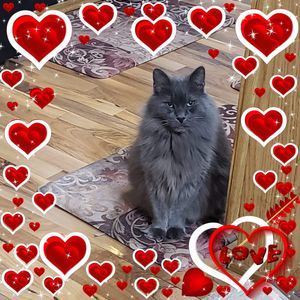 Meet your Posher, Terrie